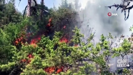 Yaz yangınla geldi! Üç ilde peş peşe orman yangınları çıktı