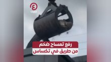رفع تمساح ضخم من طريق في تكساس