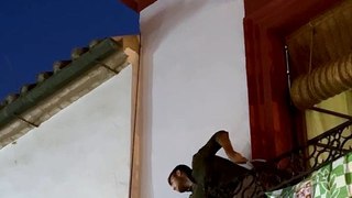 Recuperación del tercer guacamayo fugado del zoo de Córdoba