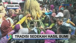 Tradisi Sedekah Bumi Petani Grobogan, Wujud Syukur Hasil Panen Melimp