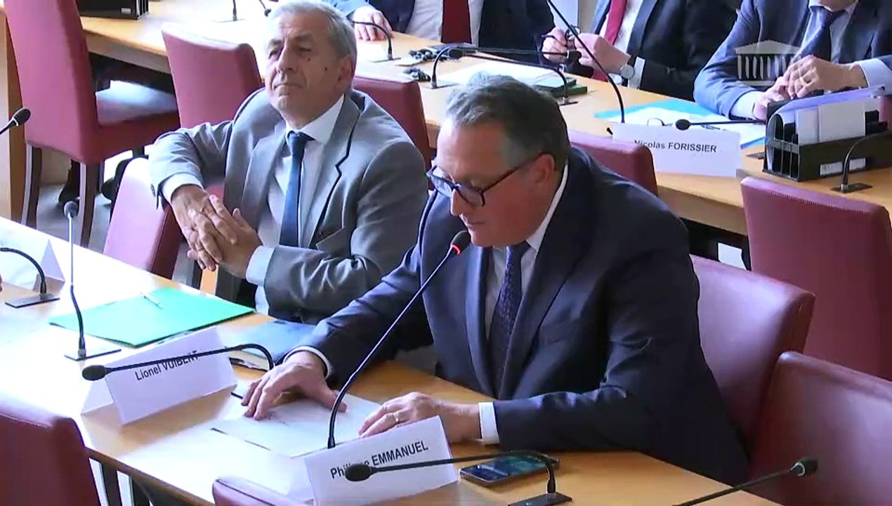 Commission des affaires étrangères : M. Franck Riester, ministre délégué auprès du ministre de l'Europe et des affaires étrangères, chargé du commerce extérieur, de l'attractivité, de la francophonie et des Français de l'étranger - Mardi 4 juin 2024