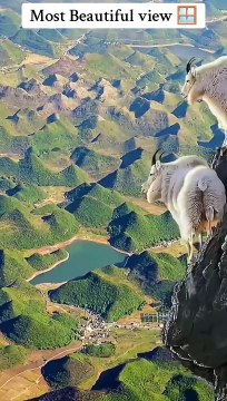 Listen the Holly Quran #Allah #Quran #islamic_video #1billionlikes❤️ #2billionviews❤️ #fyp #foryoupage❤️❤️ #viralislamicvideo #talawat❤️quran @Amaizing World @❣️✨ @╰☆☆ قرآن ☆☆╮ @