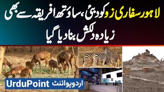 Lahore Safari Zoo Ko Dubai And South Africa Se Bhi Ziyada Dilkash Bana Diya Gaya