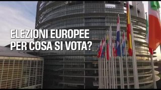 Elezioni europee: per cosa si vota?