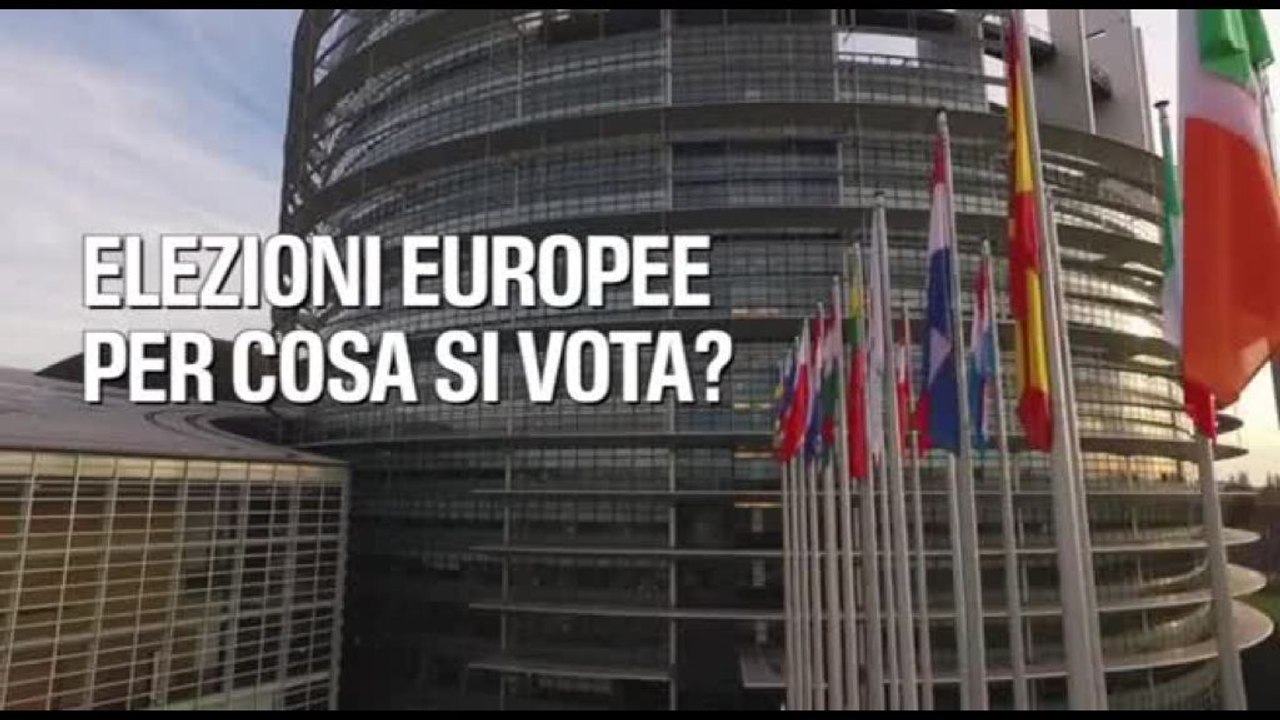 Elezioni europee: per cosa si vota?