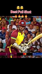 Cricket Videos Highlights