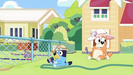 Μπλουι, σεζόν 1, επεισοδιo 35, (Ζωολογικός κήπος)