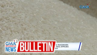 PSA - Posibleng magmura ang bigas nang P6-7/kilo dahil sa pag-apruba sa mas mababang rice import tariff | GMA Integrated News Bulletin