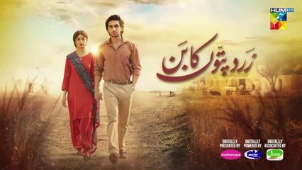 Zard Patton Ka Bunn - Episode 04 | Sajal Ali's Latest Drama Episode