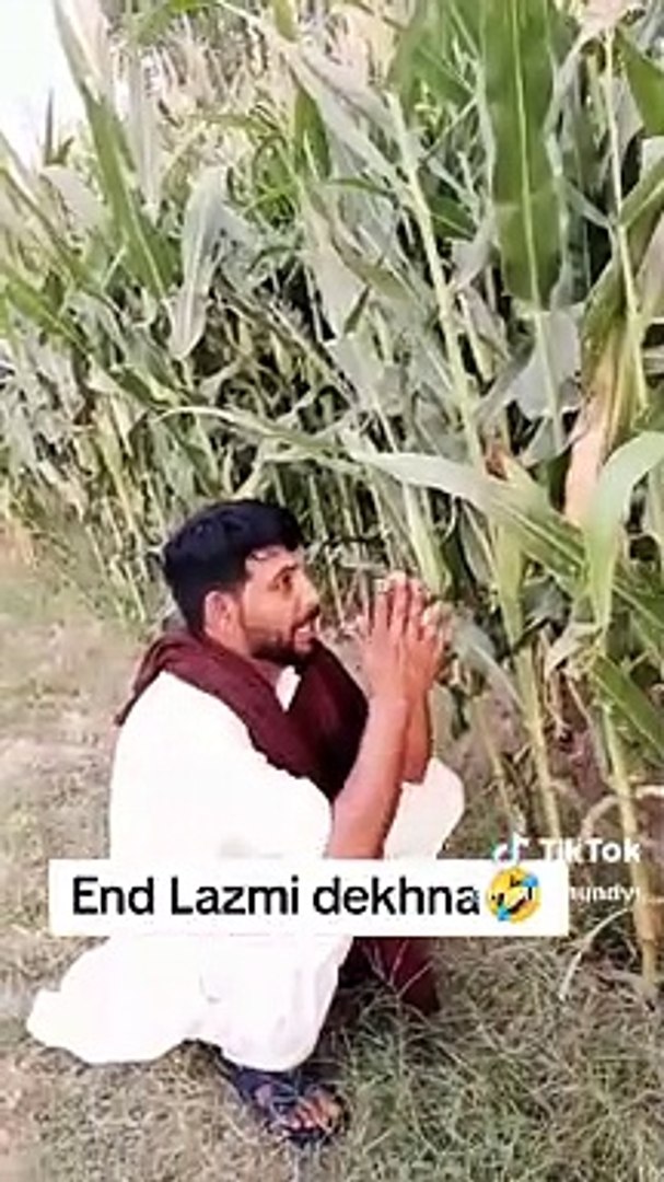 Funny video./entertainment video