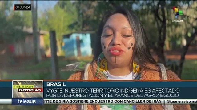 ¡Batalla contra el cambio climático¡ Continúa siembra de semillas en Brasil