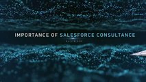 Salesforce Consulting Services