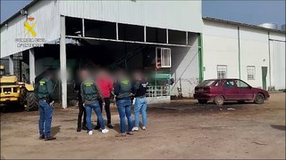 Detenidas ocho personas por robar aceitunas del campo madrileño y venderlas en Ciudad Real