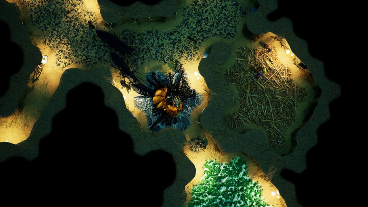 Empires of the undergrowth: wir versagen in der witzigen kampagne