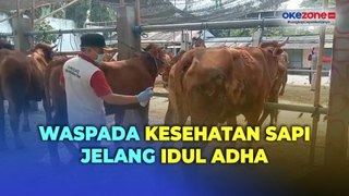 Sidang Hewan Kurban, Petugas Temukan 4 Sapi Terjangkit Penyakit LSD di Blitar