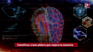 Científicos crean píldora que mejora la memoria