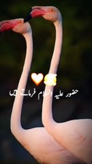 Allah na Tumhara Chehra dekhta hai na Tumhara Mal