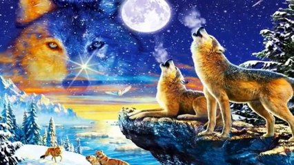 VALDO CILLI TITRE MA MA MARAMEO