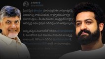 Devara Jr NTR Reacts On Alliance Win కూటమి సౌండ్ దద్దరిల్లింది | Oneindia Telugu