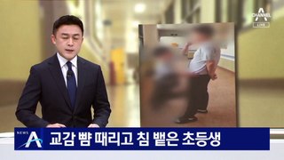 교감 뺨 때리고 침 뱉은 초등생