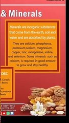 Shocking Benefits of bottle gourd best for summer