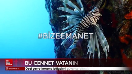Özel çevre koruma bölgeleri güvence altında