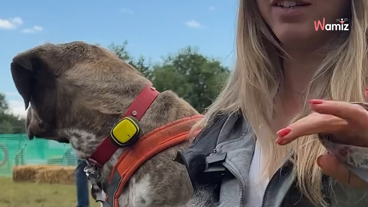 Le @woofest_ laisse un souvenir incroyable !  Si vous avez loupé Lyon, pas d’inquiétude il y a d’autres dates.