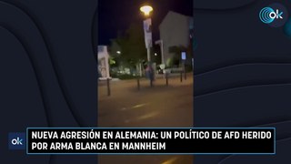 Nueva agresión en Alemania: un político de AFD herido por arma blanca en Mannheim