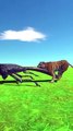 Giant Stag Beetle vs Tigers 3D Animation Animal Cartoon