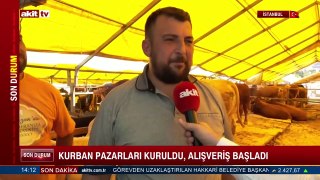 Kurban pazarları kuruldu, alışveriş başladı