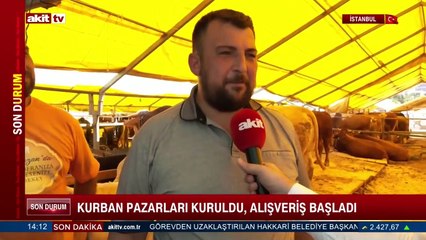 Kurban pazarları kuruldu, alışveriş başladı