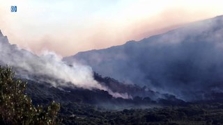 Un incendio en Tarifa ya afecta a 600 hectáreas