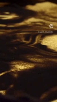 America got talent america's got talent 2024 what a talented Dou