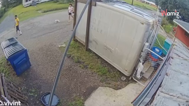 Elle jette deux chiots dans une benne à ordures sans imaginer que la police assiste à toute la scène (vidéo)