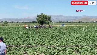 Eğitim uçağı kazasında çarpıcı detay! Şehit pilotlar tarlada çalışan 20 işçinin hayatını kurtarmış