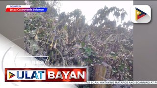 23,000 ektarya ng tubuhan sa Negros Island, apektado ng pagputok ng Mt. Kanlaon