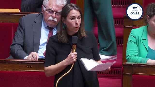 Vous démontrez que vous ne comprenez profondément pas l'écologie dénonce Julie Laernoes, députée Écologiste-Nupes