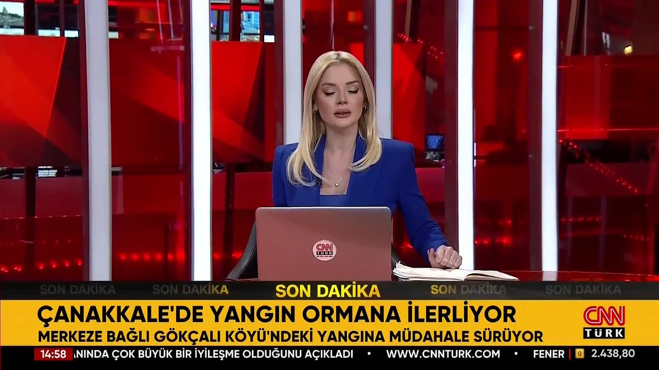 SON DAKİKA: Çanakkale'de anız yangını, tarım arazisi ve ormana sıçradı