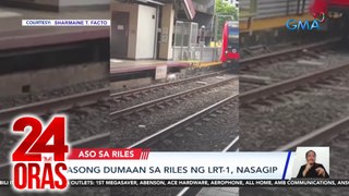 Asong dumaan sa riles ng LRT-1, nasagip | 24 Oras