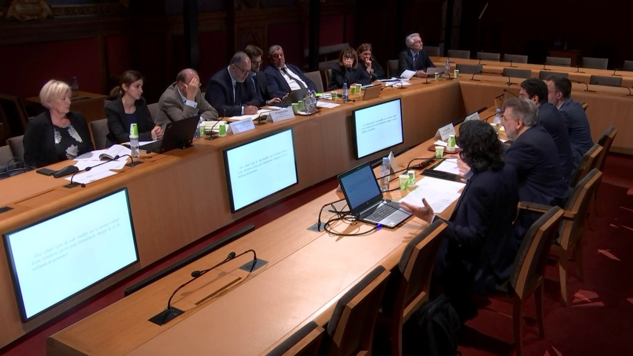 Ingérences étrangères : audition de David Chavalarias devant la commission d'enquête du Sénat