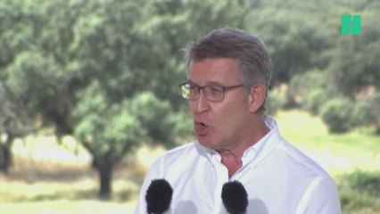 Feijóo: "No es normal que se intente silenciar la crítica, cualquier crítica, al 'puto amo'"