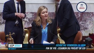 Fin de vie : le débat en séance publique - 5 juin