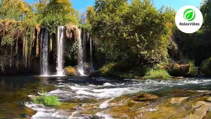 Serene River and Flowing Water Sounds