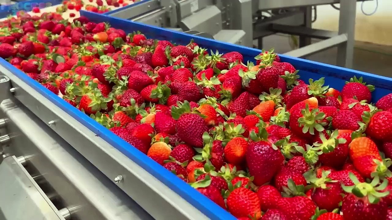 How Strawberry Jam Is Made In Factory | Strawberry Jam Factory Process ...