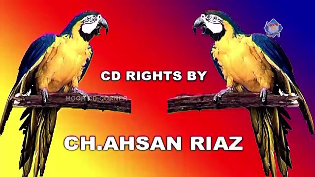 Best Of Agha Majid and Iftikhar Thakur New Pakistani Stage Drama Full Comedy Funny Clip..