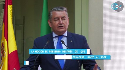 Vox, PSOE y Podemos votan juntos en contra de la moción de confianza del alcalde de Sevilla