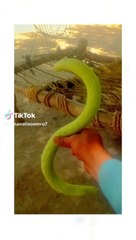 پاکستانی سبزی۔۔۔کیسی لگی۔۔۔