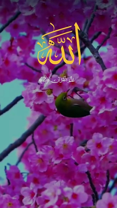 Islamic Videos