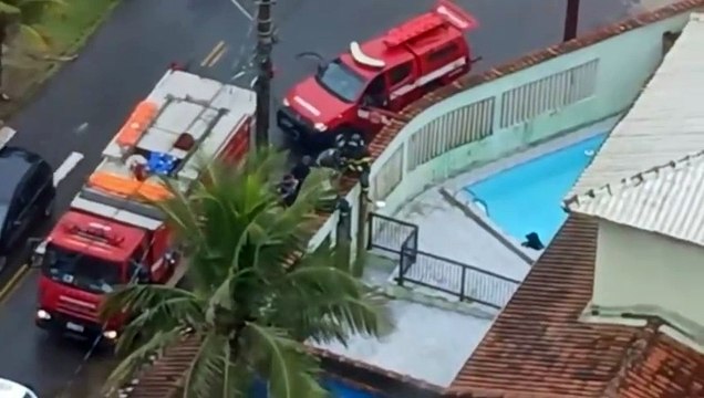 Bombeiros resgatam rottweiler que estava se afogando em piscina