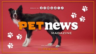 PetNews Magazine - 5/6/2024